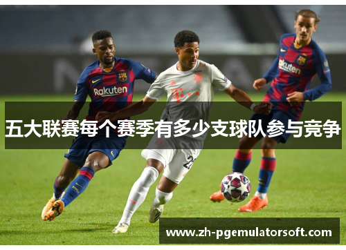 五大联赛每个赛季有多少支球队参与竞争 五大联赛每个赛季有多少支球队参与竞争